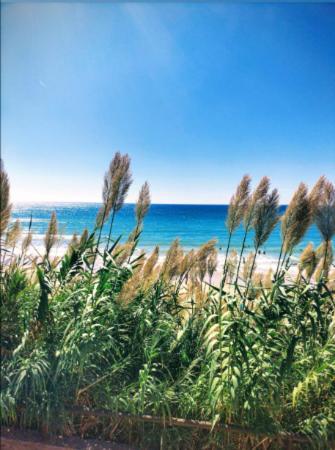 Conil Vistas Al Mar Del Roqueo, Fuente Del Gallo Conil De La Frontera Εξωτερικό φωτογραφία