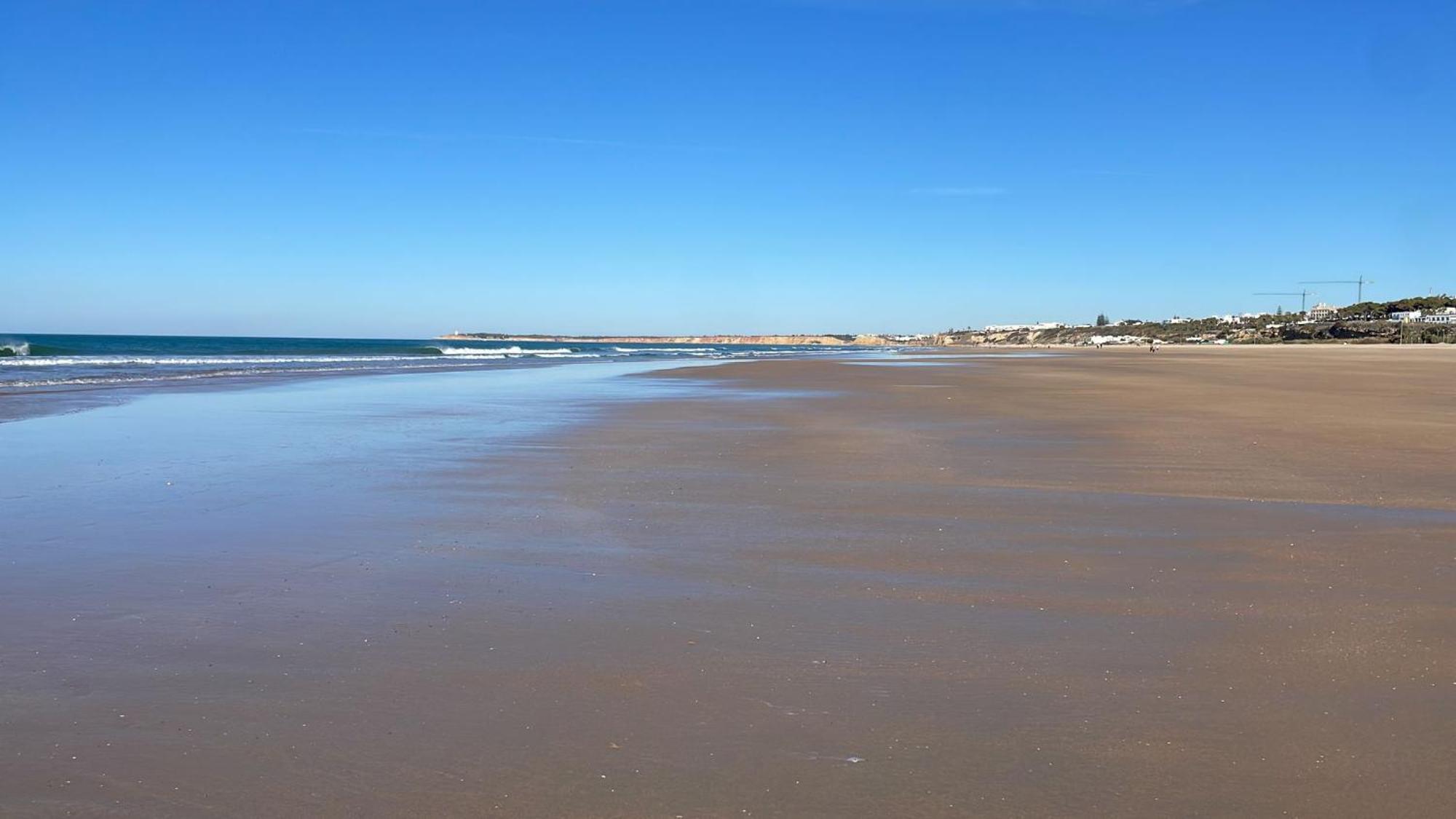 Conil Vistas Al Mar Del Roqueo, Fuente Del Gallo Conil De La Frontera Εξωτερικό φωτογραφία